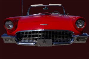Red T Bird on black