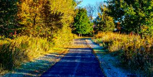 Fall in the midwest